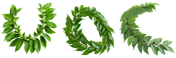 Green leaf garlands arranged in round, U, and C shapes, used for decoration during festivals and celebrations isolated on a white background, png