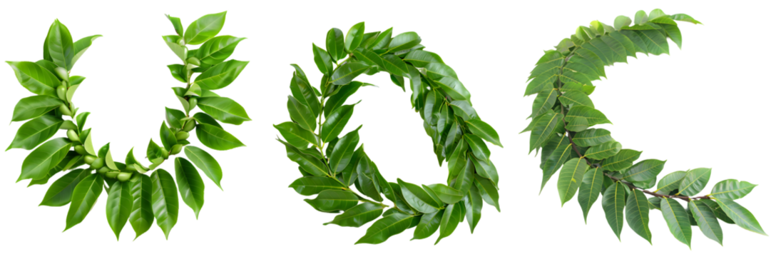 Green leaf garlands arranged in round, U, and C shapes, used for decoration during festivals and celebrations isolated on a white background, png