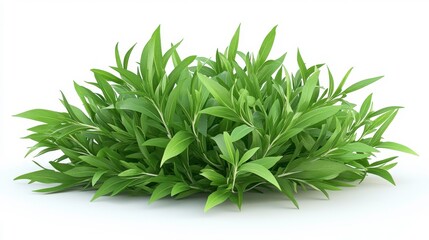 Tarragon clipart, element, 3D illustration, realistic, isolated on white background