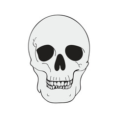 Creepy Skull, Skull. Halloween party decorations, haunted house decorations.
Black Hand Drawn Spooky Halloween Doodle Design Elements. Vector Illustration.