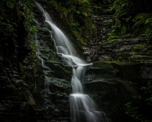 Obraz premium Serene waterfall cascading over moss-covered rocks in a lush, green forest