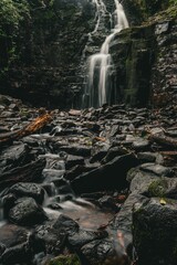 Serene waterfall cascading over moss-covered rocks in a lush forest setting