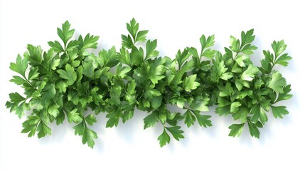 Obraz premium Parsley (dried) clipart, element, 3D illustration, realistic, isolated on white background