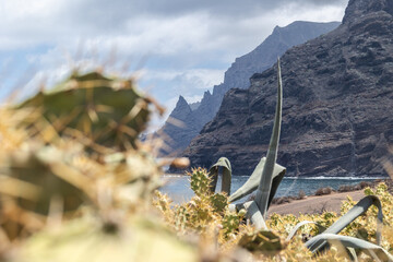 Natural cliffs in front of the sea in Tenerife. Concept: Nature, natural, landscapes, sea.