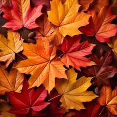 Vibrant autumn leaves in warm shades of orange, red, and yellow create a cozy and rustic seasonal background