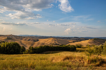 Fototapeta premium Rolling hills in golden hues under soft sunlight. Minimal greenery in the foreground, Rolling hills with golden fields, mountain range in the background, sparse vegetation. Grand tour in Italy. Italia