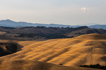 Rolling hills in golden hues under soft sunlight. Minimal greenery in the foreground, Rolling hills with golden fields, mountain range in the background, sparse vegetation