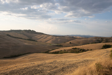 Rolling hills in golden hues under soft sunlight. Minimal greenery in the foreground, Rolling hills with golden fields, mountain range in the background, sparse vegetation