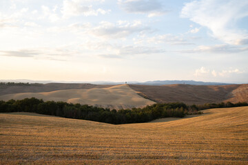 Obraz premium Rolling hills in golden hues under soft sunlight. Minimal greenery in the foreground, Rolling hills with golden fields, mountain range in the background, sparse vegetation
