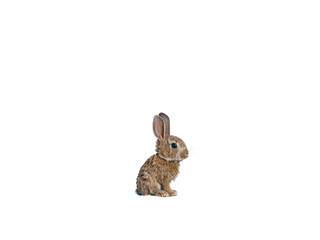 Obraz premium Realistic Bunny image on transparent background. Ai generated.