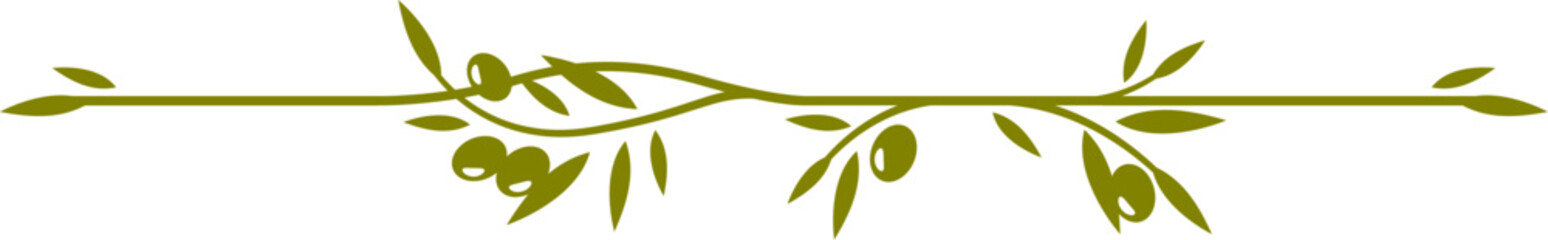 Olive leaves divider consists of a central branch with olive leaves and berries extending horizontally. Isolated vector elegant nature themed decorative element for menu in natural Mediterranean style © Buch&Bee