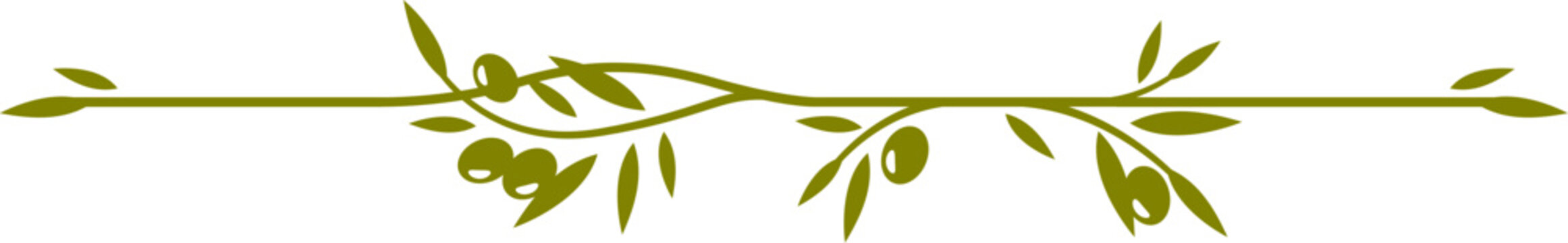 Olive leaves divider consists of a central branch with olive leaves and berries extending horizontally. Isolated vector elegant nature themed decorative element for menu in natural Mediterranean style