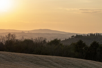 Faint sunset glow over a wooded hill and distant city skyline, with silhouettes of trees..