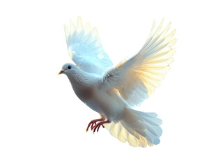 Realistic white dove image on transparent background. Ai generated.