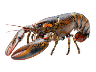 Realistic lobster image on transparent background. Ai generated.