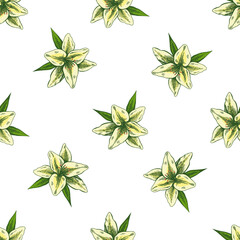 Hand drawn lily seamless pattern. Vector tattoo design element. Vintage illustration.