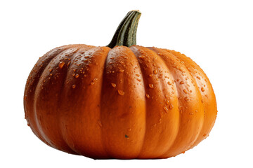 Realistic Pumpkin image with a transparent background. Ai generated.