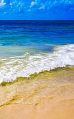 Tropical Caribbean beach clear water waves Playa del Carmen Mexico.