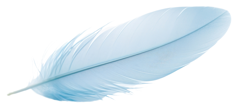 PNG Pastel blue feather white lightweight fragility. - Powered by Adobe