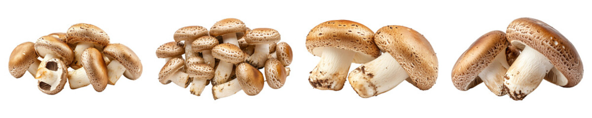 Set, collection of Brown mushrooms isolated on transparent background.