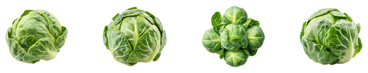 Obraz premium Set, collection of Brussels sprout isolated on transparent background.