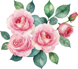 Fototapeta premium beautiful Watercolor flowers Simple pink rose, vector illustration