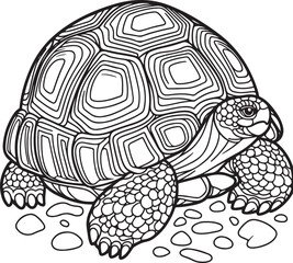 A tortoise lineart coloring book illustration for kids