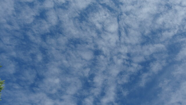 a sky filled with scattered, thin, and wispy clouds, known as cirrocumulus clouds. These clouds create a textured pattern against the blue sky - Powered by Adobe