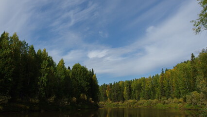 a scenic view of a forested area with a body of water in the foreground. The trees are dense and mostly green, indicating a lush, healthy forest. The sky above is mostly clear with some wispy clouds