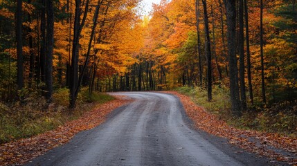 Serene Woman Enjoying Fall Foliage in a Raw Style Setting at Golden Hour
