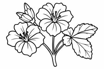 illustration of a flower