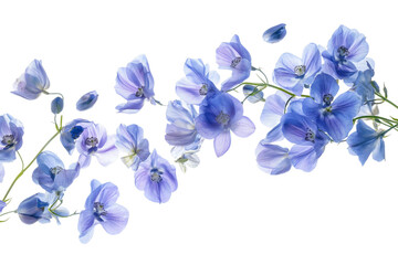 Abstract blue bellflower illustration for spring design