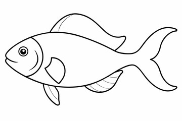 fish isolated on white