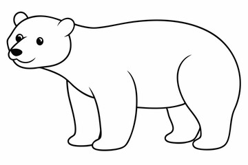 polar bear vector illustration