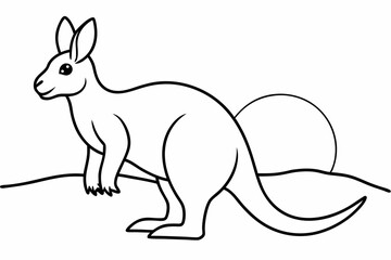 illustration of a cartoon kangaroo