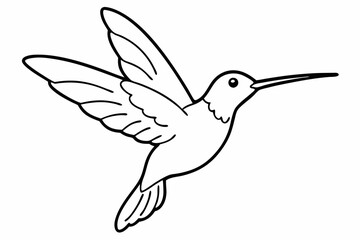 illustration of a bird