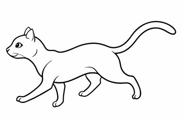 image of a cat