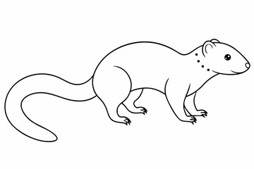 image of a squirrel
