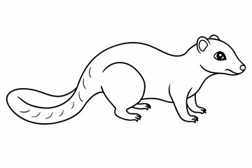 image of a squirrel