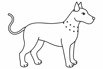 illustration of a fox