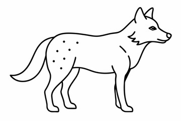vector illustration of wolf