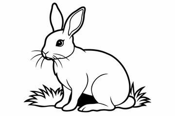 rabbit with a flower