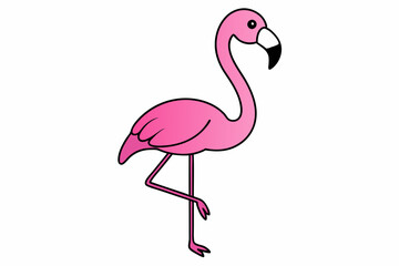 pink flamingo isolated on white
