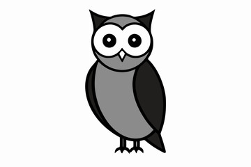 owl