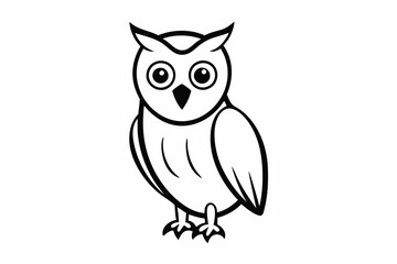 owl on white background