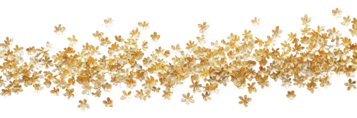 PNG  Golden floral decorative border