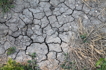 Drought in krasnodar region. Dry cracked earth, parched land, arid soil, Dry cracked earth texture,...