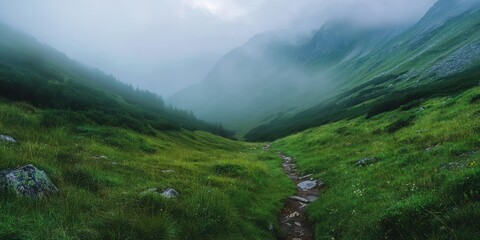 A serene landscape featuring a winding path through lush green grass and misty mountains in the...