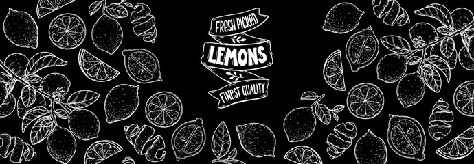 Lemon fruit hand drawn design. Vector illustration. Design, package, brochure illustration. Lemon fruit frame illustration. Design elements for packaging design and other.	