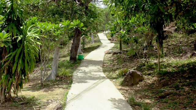 2e partie du chemin ciment&eacute; dans les arbres jusqu'au point de vue de Ko Phi Phi